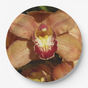 Prato De Papel Orquídeas de Pêssego com Raindroits Floral
