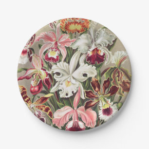 Prato De Papel Orquídeas, Orquídeas Denusblumen de Ernst Haecke