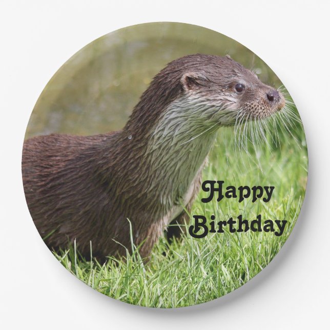 Prato De Papel Otter Grass Wildlife Foto Birthday (Frente)