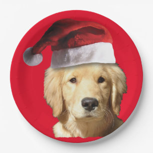 Prato De Papel Ouro Retriever Santa Claus