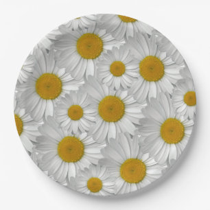 Prato De Papel Padrão de Flor de Margarida Branca Simples e Bonit
