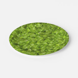Prato De Papel Padrão de Folhas de Basil