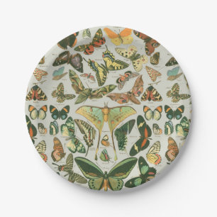 Prato De Papel Padrão de Impressão de Borboleta Mariposa Vintage