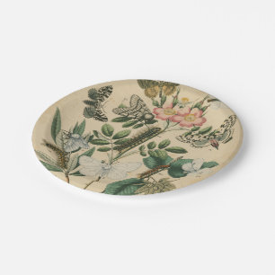 Prato De Papel Palcos da vida da borboleta pelo Vision Studio