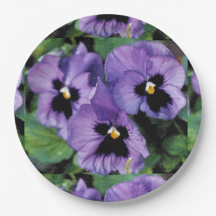 Prato De Papel Pansies roxos