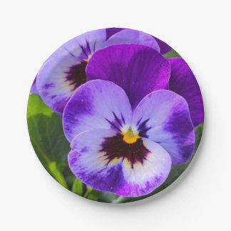 Prato De Papel Pansy de pôg gigante preenche isso