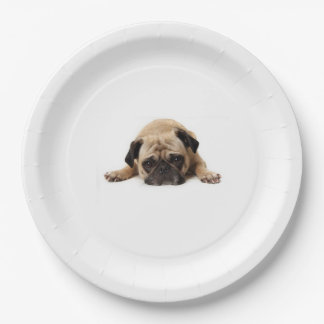 PRATO DE PAPEL PAPEL DE PUG