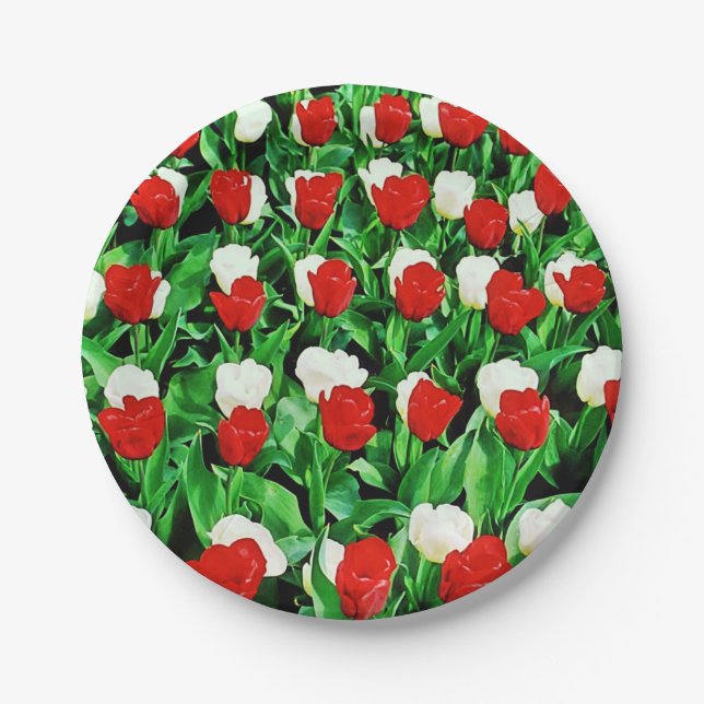 Prato De Papel Paper Plate (Frente)