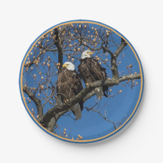 Prato De Papel Par Bald Eagle