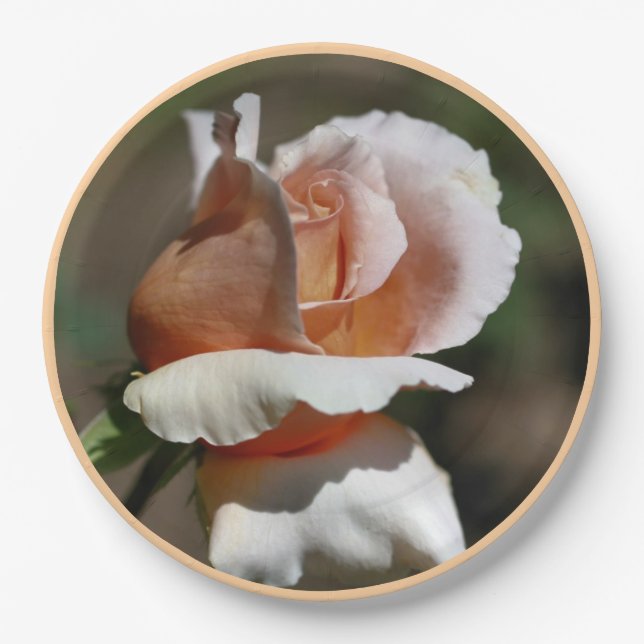 Prato De Papel Partido Peach Rosebud (Frente)