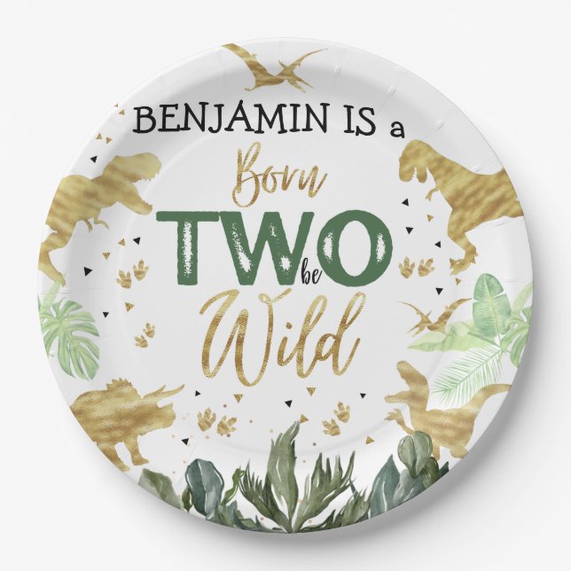 Prato De Papel Partido segundo aniversário Dinossauro (Frente)