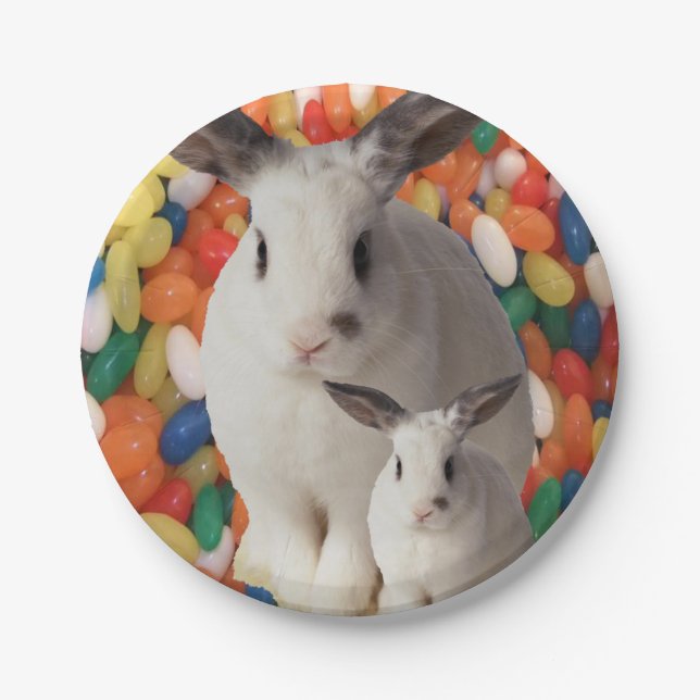 Prato De Papel Páscoa das placas de papel (Frente)