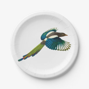 Prato De Papel Pássaro colorido do Magpie, ilustração do vinta