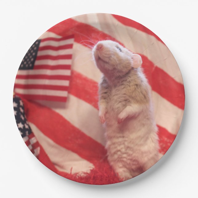 Prato De Papel Patriotic Murray (Frente)