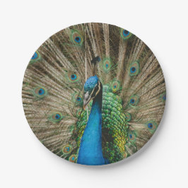 Prato De Papel Pavão