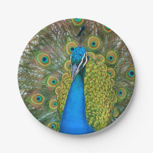 Prato De Papel Peacock S9K.jpg
