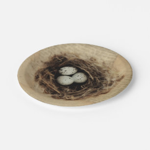 Prato De Papel Peixe Ninho Vintage Antiquado Ovos Castanhos Retro
