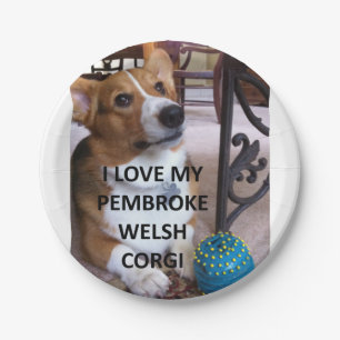 Prato De Papel pembroke welsh corgi fawn love w pic