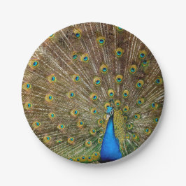 Prato De Papel Penas da Cauda Peacock
