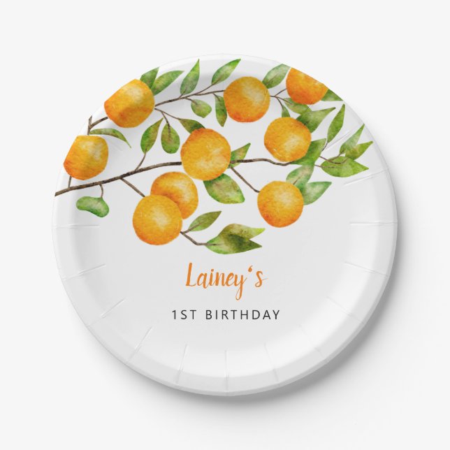 Prato De Papel Pequena Festa de aniversário de Verão (Frente)