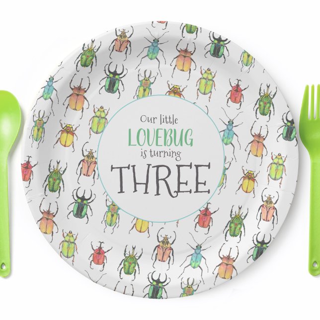Prato De Papel Pequena Festa de aniversário Lovebug (Personalized Love Bug Party Plates)