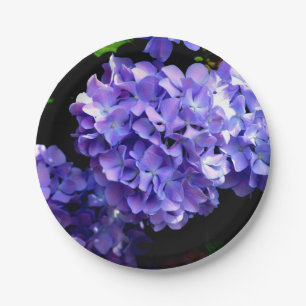 Prato De Papel Periwinkle