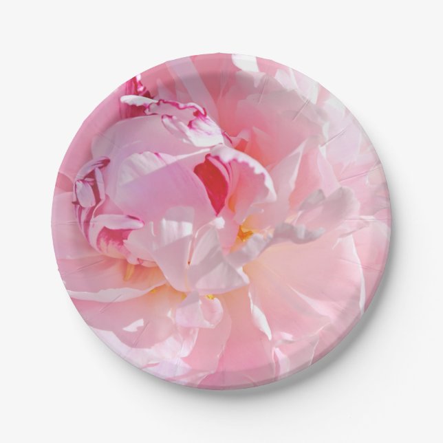 Prato De Papel pétalas rosa suave (Frente)