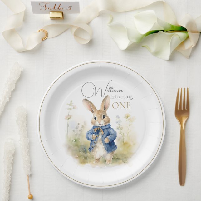 Prato De Papel Peter The Rabbit Watercolor Birthday (Casamento)