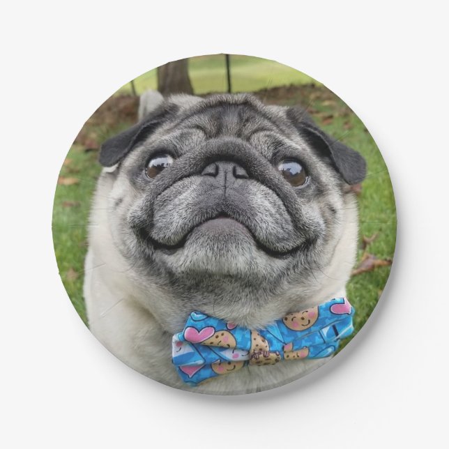 Prato De Papel Pickles Paper Plate (Frente)