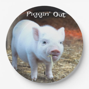 Prato De Papel Piggin 'Out Fazenda Life Paper Plate'