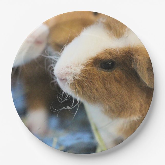 Prato De Papel Piggy (Frente)