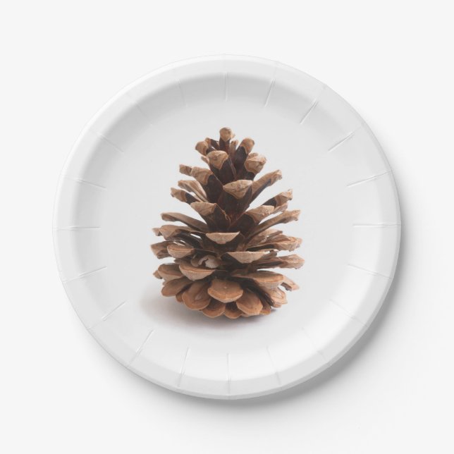 Prato De Papel Pinecona (Frente)