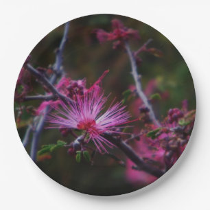 Prato De Papel Pink Fairy Duster