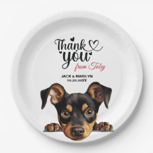 Prato De Papel Pinscher Alemão
