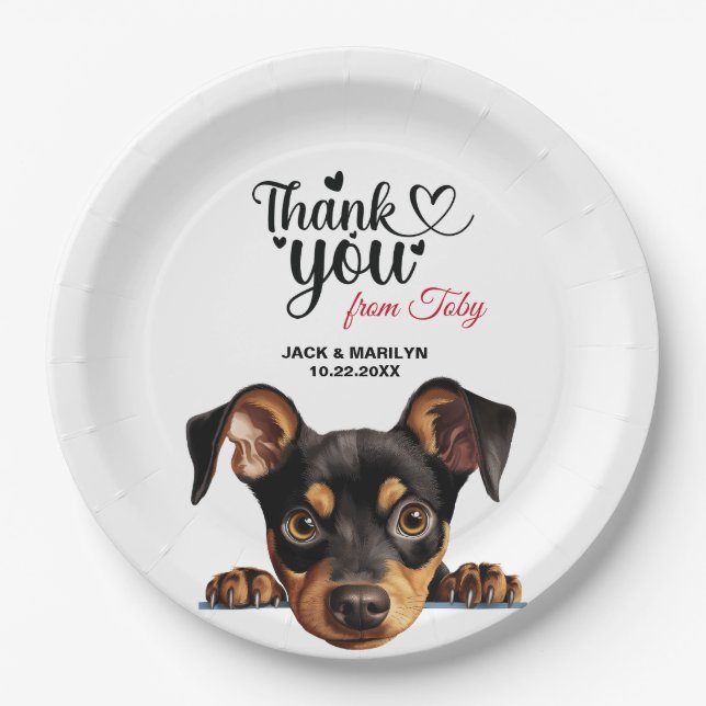 Prato De Papel Pinscher Alemão (Frente)