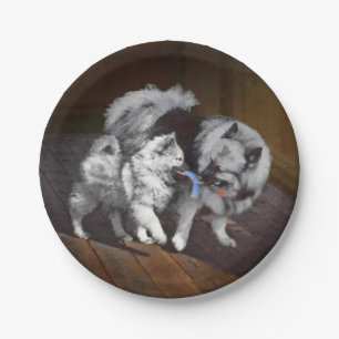Prato De Papel Pintura em tempo de reprodução de Keeshond - Art
