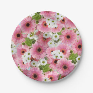 Prato De Papel Placa de papel