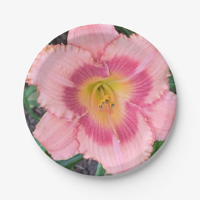 Prato De Papel Placa de papel (Frente)