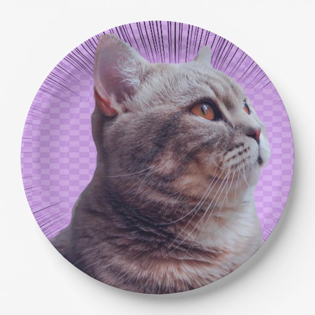 Prato De Papel Placa de papel (Frente)