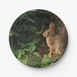 Prato De Papel Placa de Papel Bunny - para o amante de coelhos e