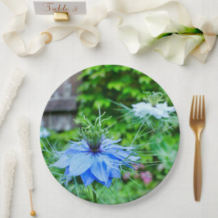 Prato De Papel Placa de Papel Cornflower