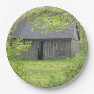 Prato De Papel Placa de papel da casca do país