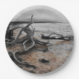 Prato De Papel Placa de Papel das Forças Naturais do Lago Tyrrell