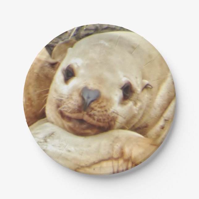 Prato De Papel Placa de papel de 7" com selo (Frente)