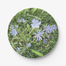 Prato De Papel Placa de Papel de Flor Selvagem