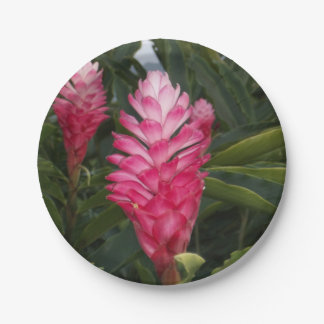 Prato De Papel Placa de papel de ginger vermelha