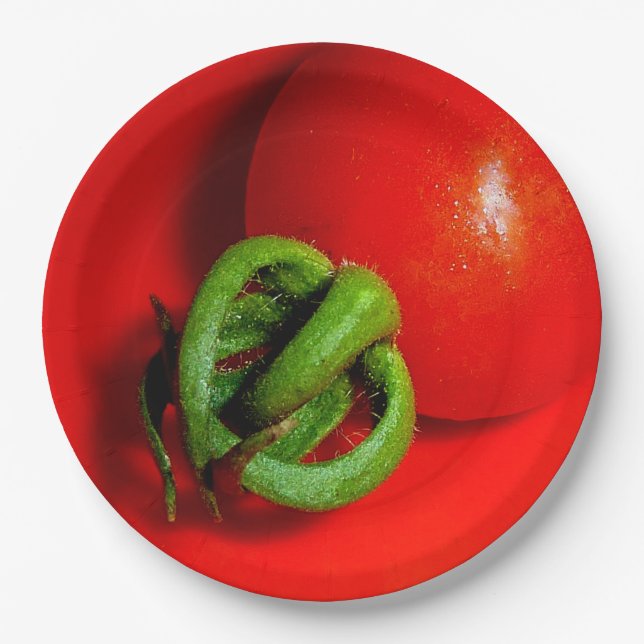 Prato De Papel Placa de papel de tomate vermelho (Frente)