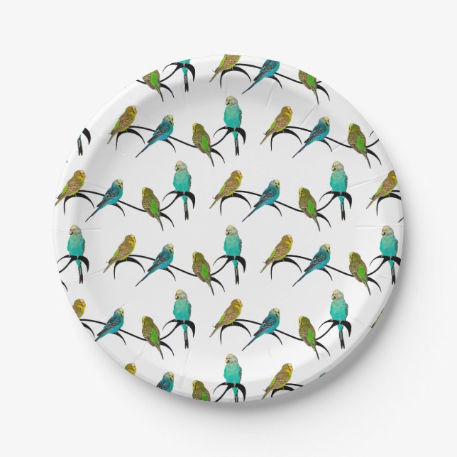 Prato De Papel Placa de Papel do Budgie Frenzy (Frente)