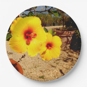 Prato De Papel Placa de papel do hibiscus amarelo