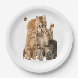Prato De Papel Placa de papel dos gatinhos bonitos